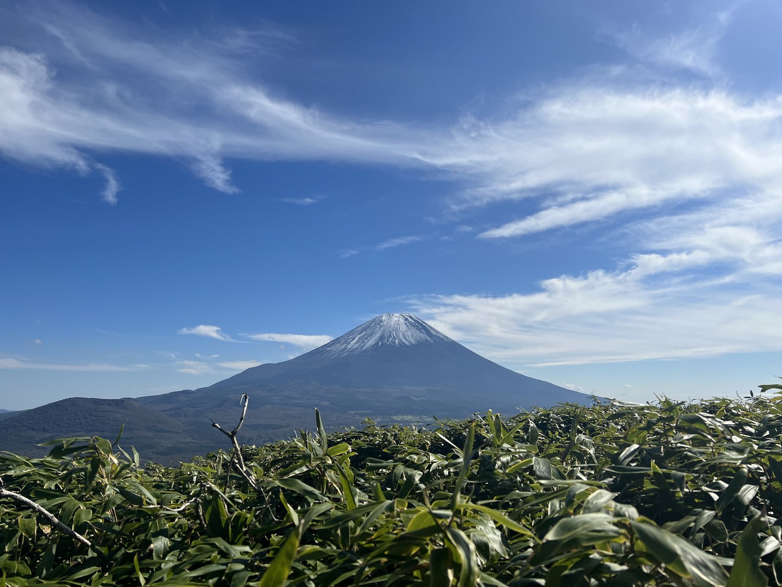 竜ヶ岳の稜線に出た瞬間に目の前に現れた富士山 手前は笹原 ヤマカルテ