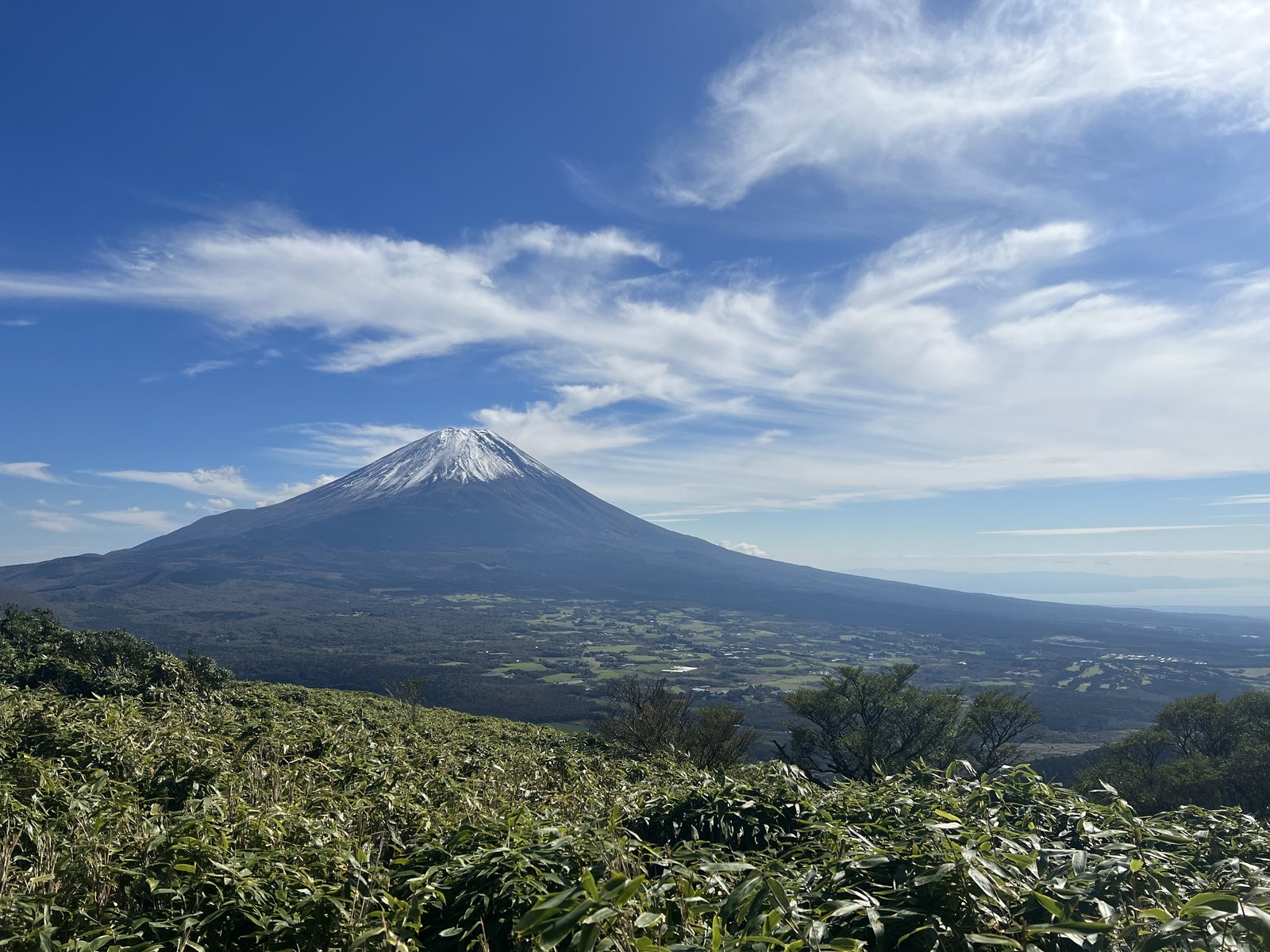 竜ヶ岳の稜線から見渡す富士山の裾野 駿河湾側まで広がる眺め ヤマカルテ