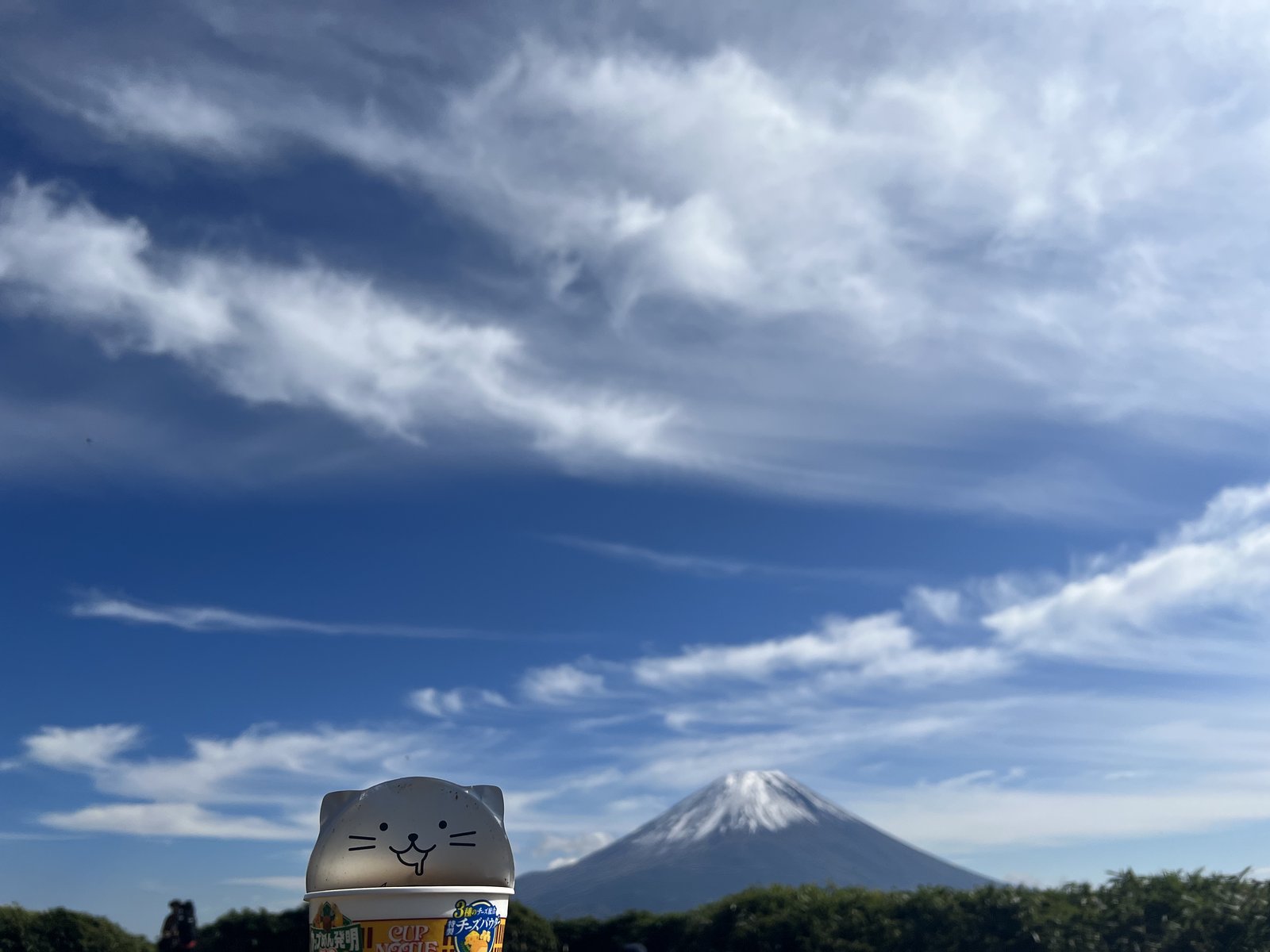 竜ヶ岳の山頂でカップヌードルと富士山 ヤマカルテ