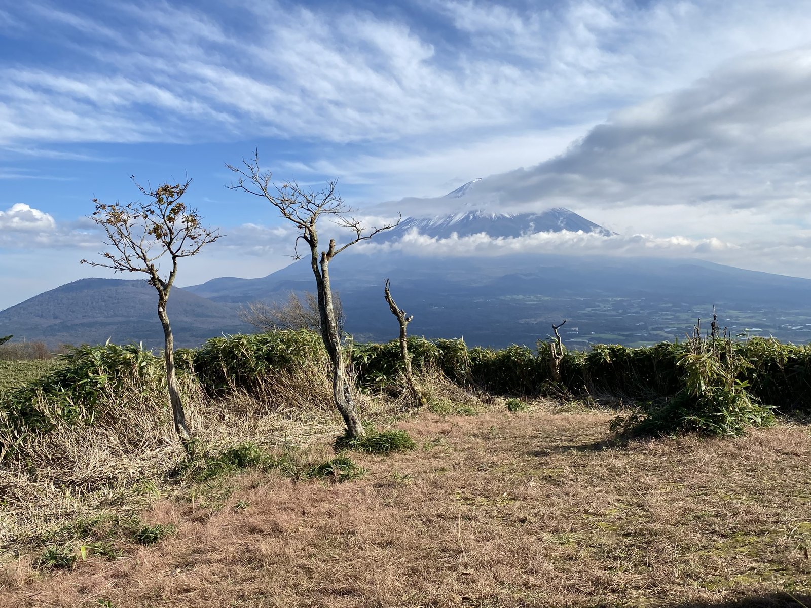 雲が湧いて山頂が隠れ始めた富士山 竜ヶ岳の展望台から ヤマカルテ