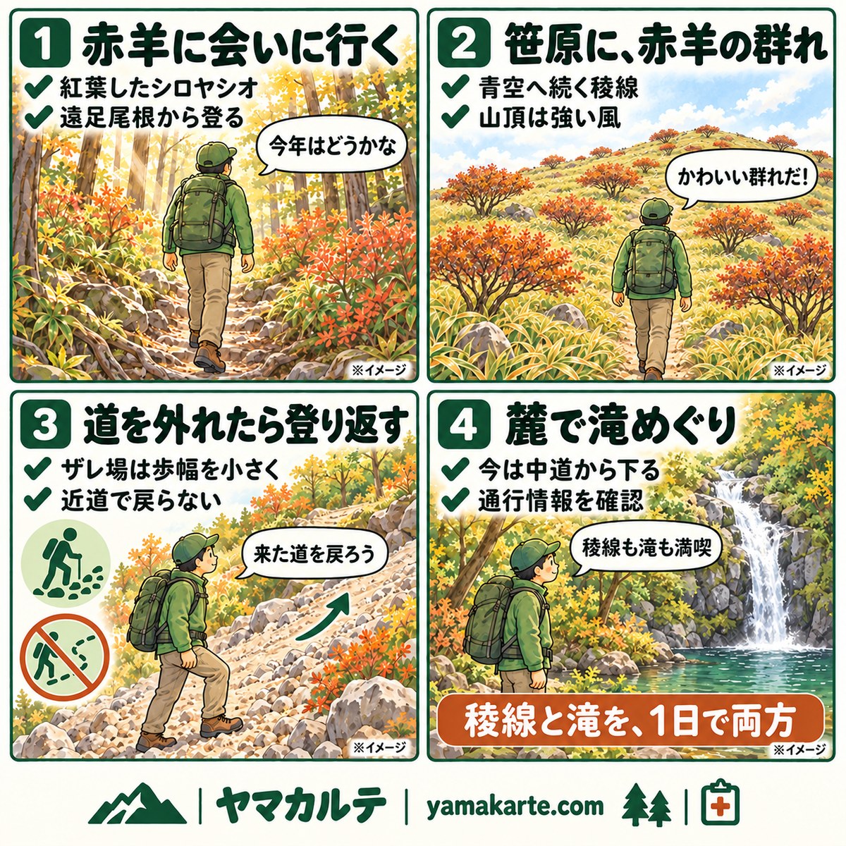 竜ヶ岳(鈴鹿)の日帰り周回を4コマで紹介 遠足尾根から赤羊に会いに行き、笹原の稜線に紅葉したシロヤシオの群れ、ザレ場で道を外れたら来た道を登り返し、今は中道から下って宇賀渓の滝めぐり ヤマカルテ