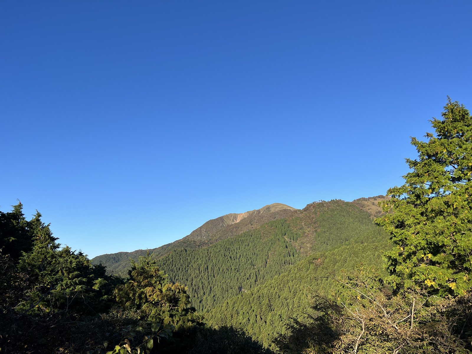 竜ヶ岳 遠足尾根の展望岩から見えた山頂方面の稜線 ヤマカルテ