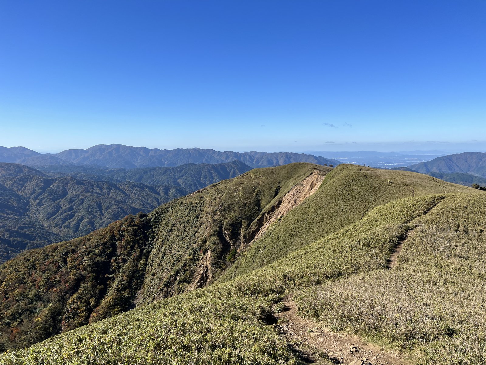 竜ヶ岳の山頂から石榑峠方面へ下る笹原の稜線 ヤマカルテ