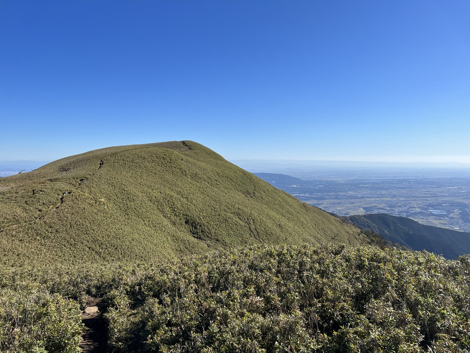 竜ヶ岳の表道から振り返った山頂 笹原の丸い山容 ヤマカルテ