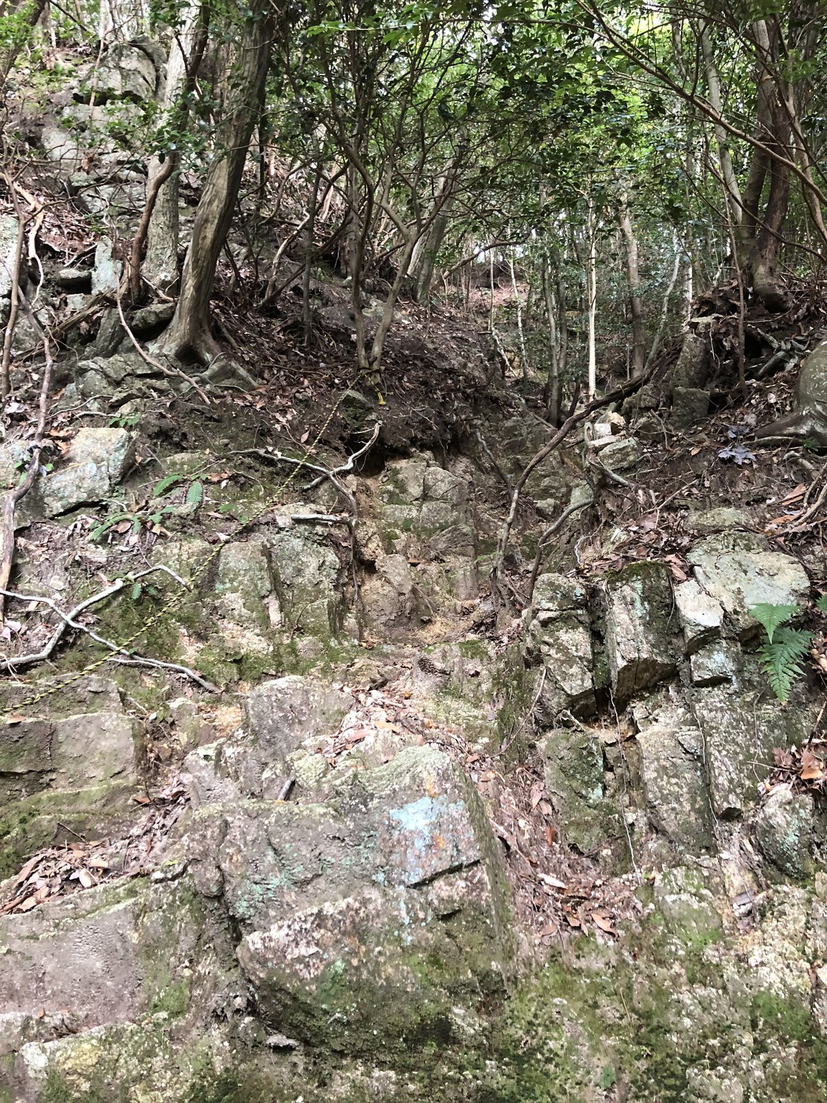 釈迦ヶ岳 庵座谷ルートの岩混じりの登山道 道が分かりづらい樹林帯 ヤマカルテ