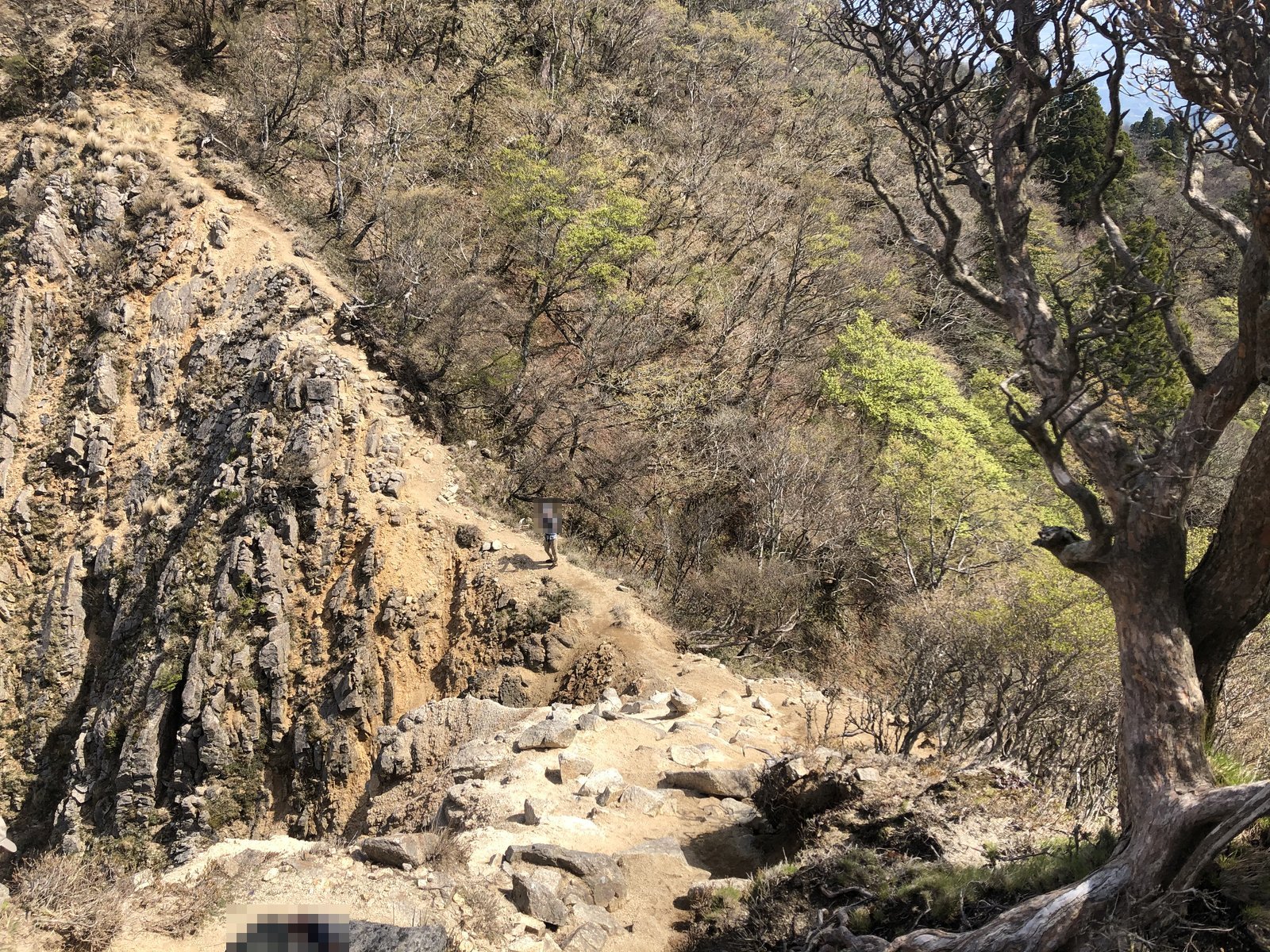 釈迦ヶ岳 中尾根のキレット 切れ落ちた岩壁の横を通る登山道 2021年5月撮影 ヤマカルテ
