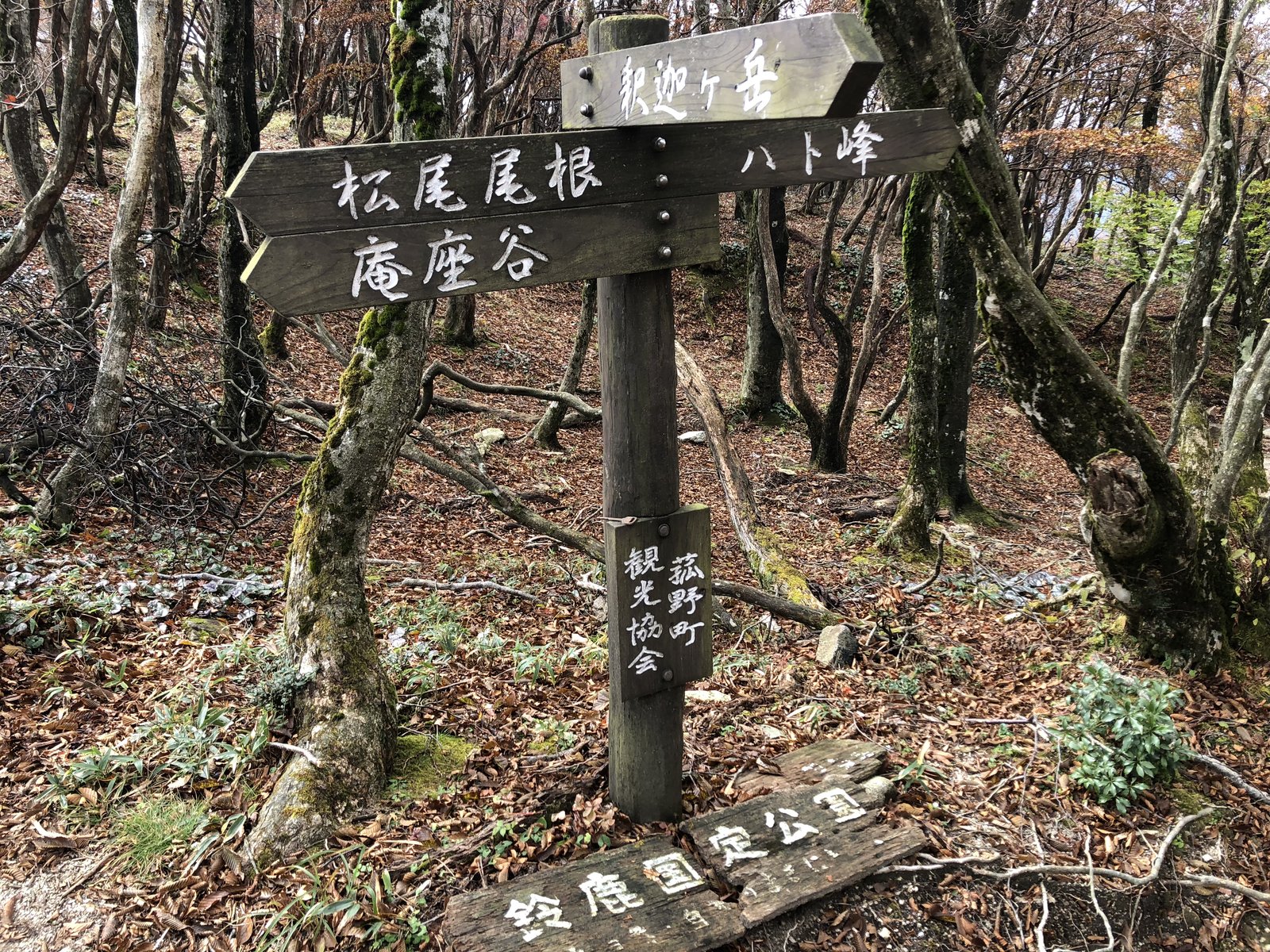 釈迦ヶ岳 山頂近くの分岐の道標 松尾尾根・ハト峰・庵座谷方面 ヤマカルテ