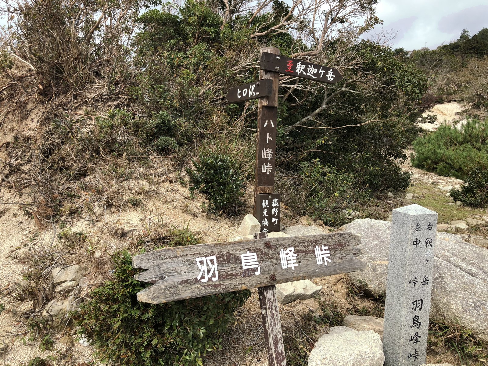 ハト峰(羽鳥峰峠)の道標 釈迦ヶ岳・朝明方面の分岐 ヤマカルテ