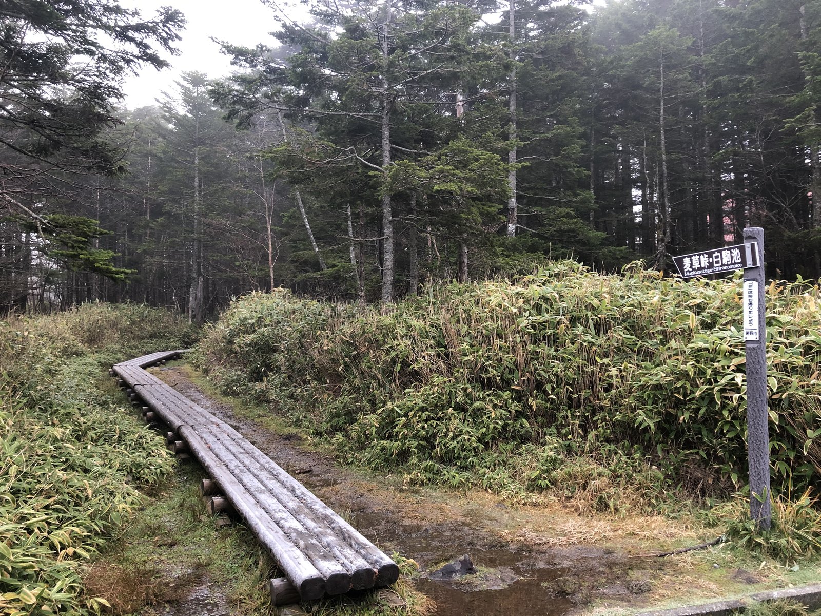 麦草峠から白駒池へ向かう登山道の入口 朝の木道と道標 北八ヶ岳の白駒池テント泊 ヤマカルテ