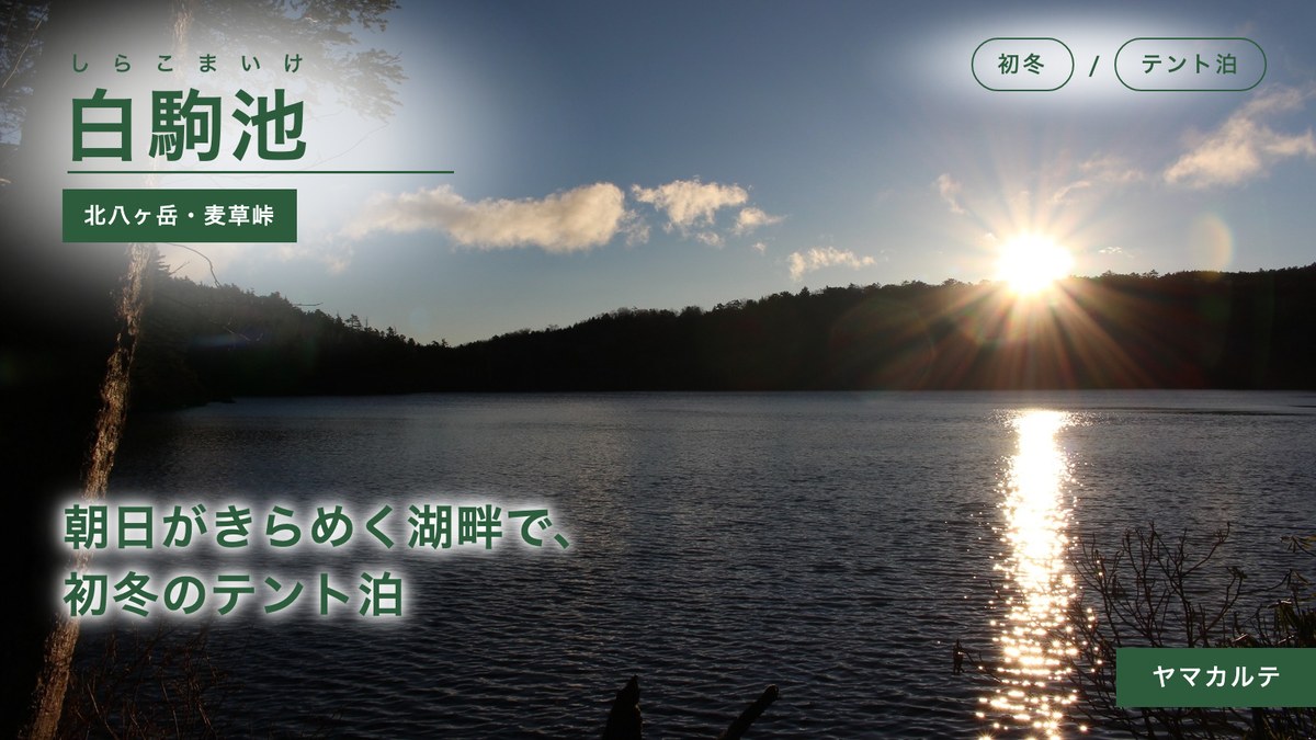 白駒池の湖面に光の道をつくる初冬の朝日 白駒池テント泊で北八ヶ岳を周回した1泊2日の山行記録 ヤマカルテ