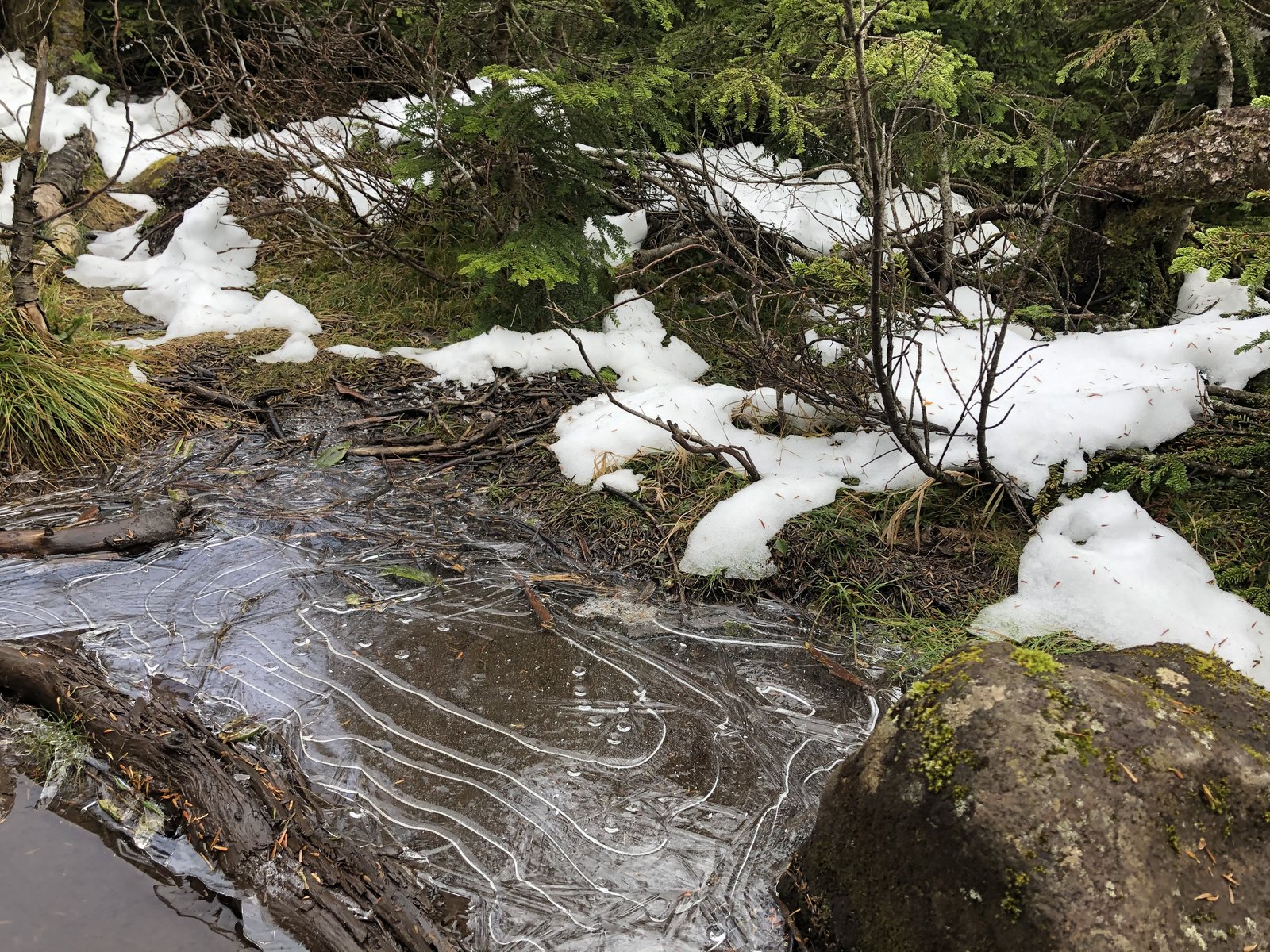 残雪のそばで凍った水たまり 中山への登山道 初冬の北八ヶ岳 ヤマカルテ