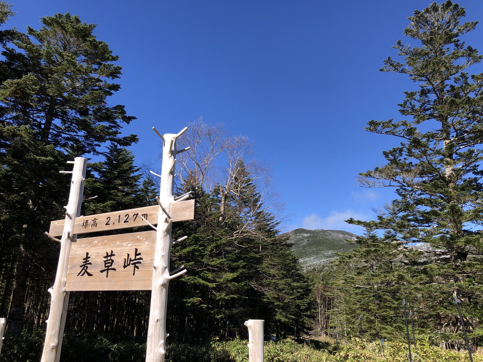 標高2,127mの麦草峠の標識 国道299号の峠から茶臼山へ ヤマカルテ