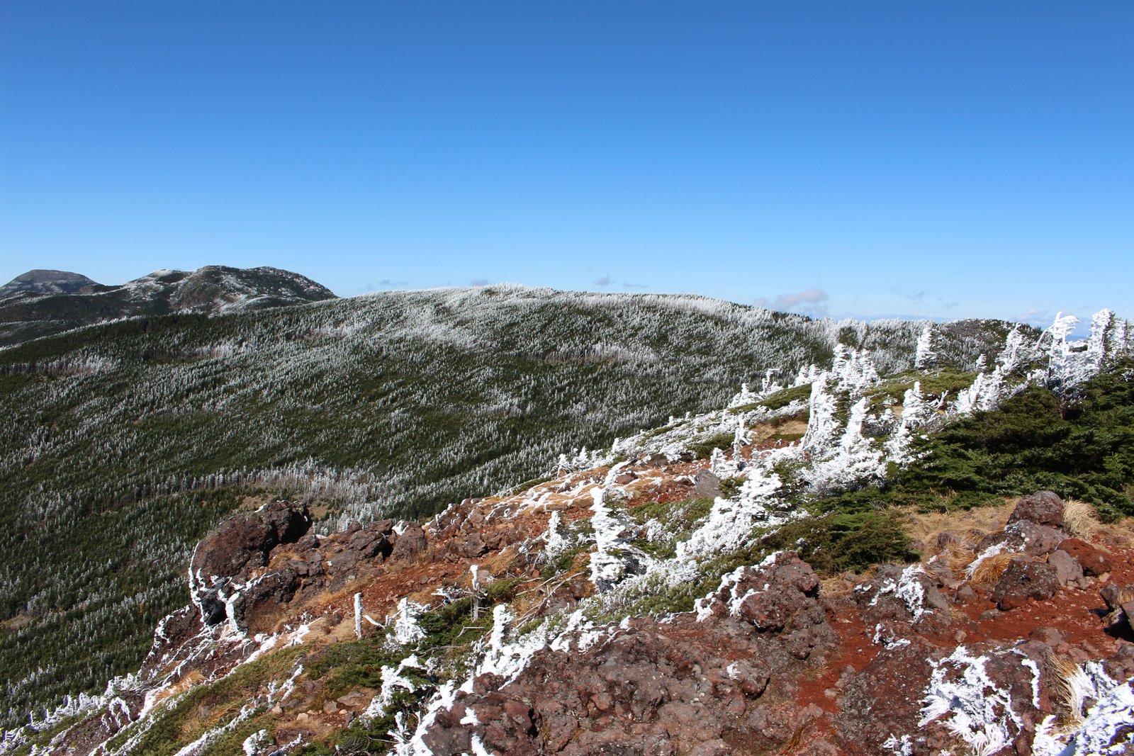 茶臼山から見た北側の蓼科山・北横岳・縞枯山と霧氷 北八ヶ岳 ヤマカルテ