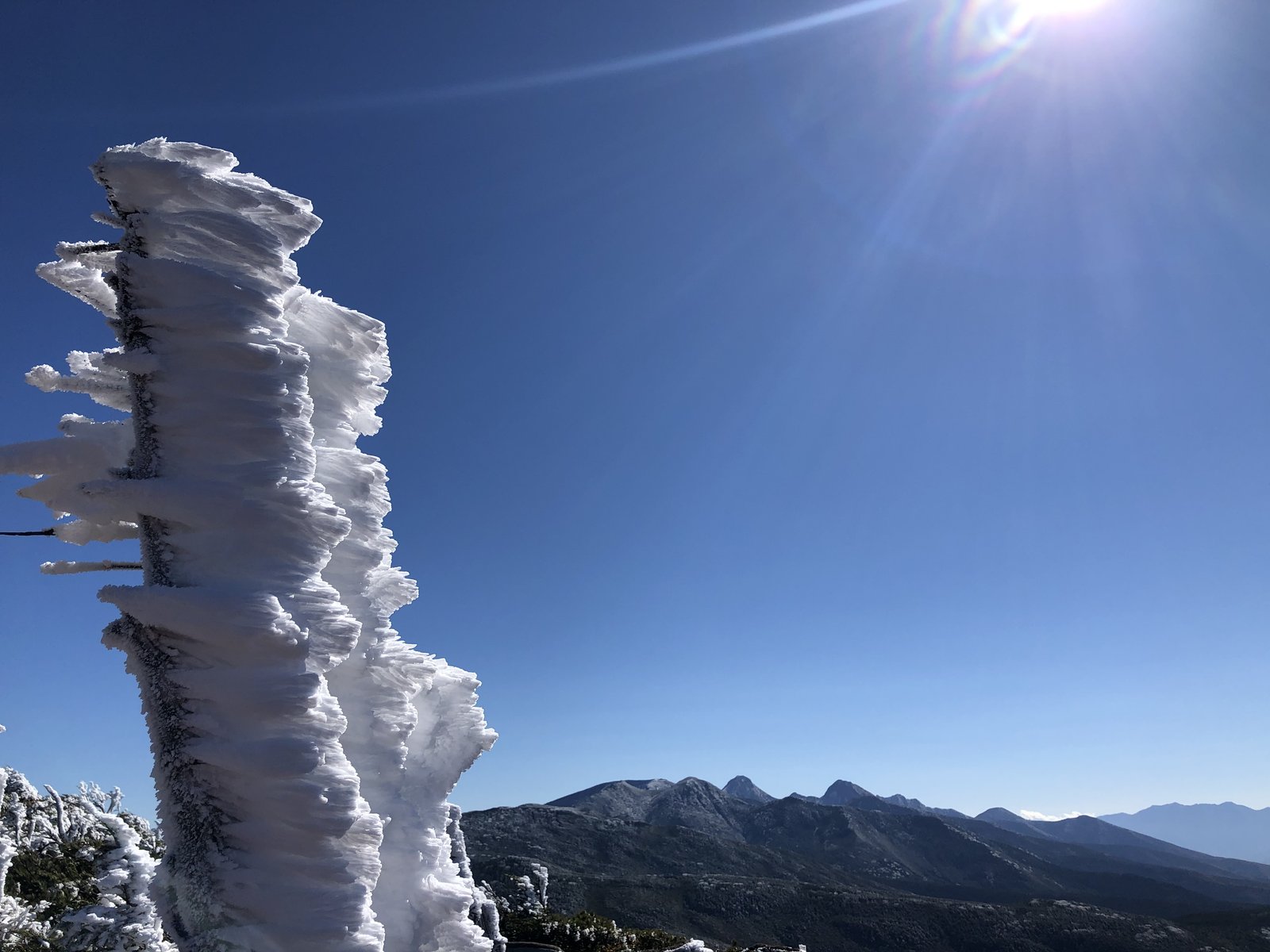 青空の下で大きく育ったエビの尻尾 茶臼山山頂の霧氷と南八ヶ岳 ヤマカルテ