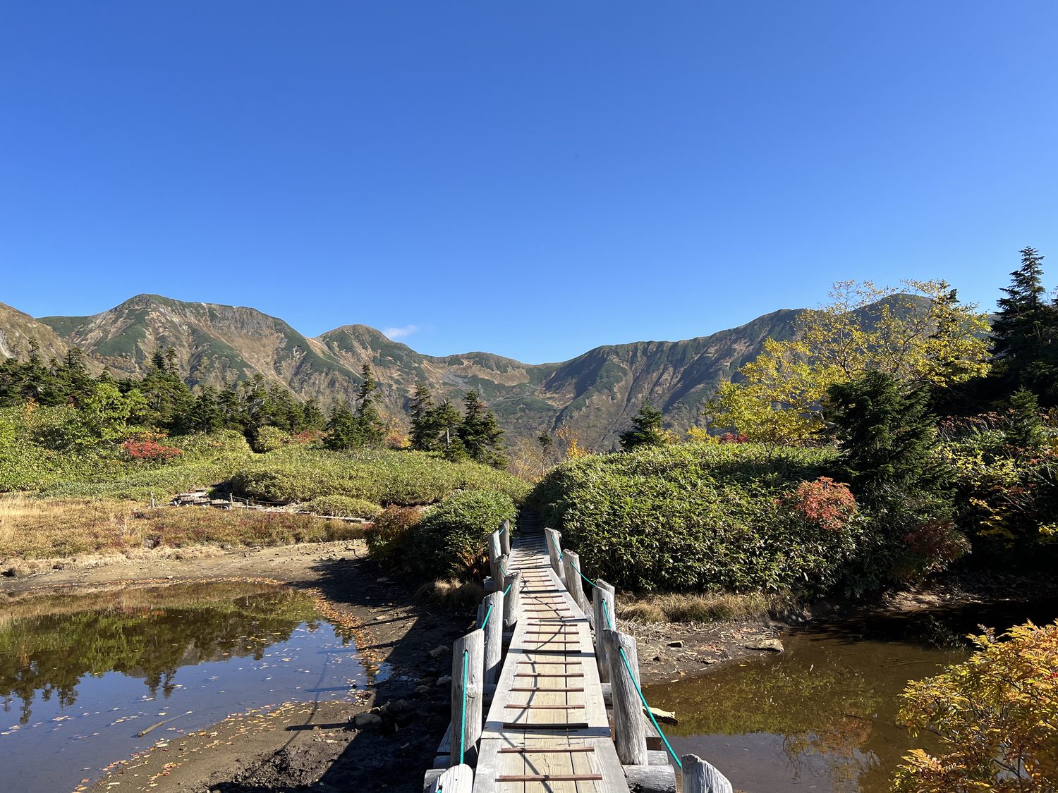 鏡平の池塘に架かる木道と弓折岳への稜線 双六小屋へ向かう登山道