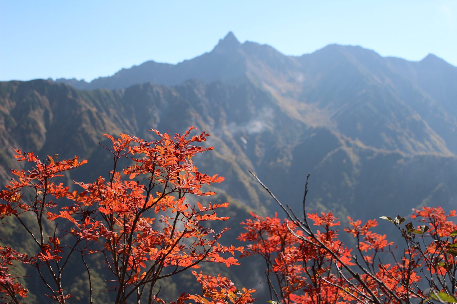 紅葉の斜面と槍ヶ岳 弓折岳への登り 10月の北アルプス
