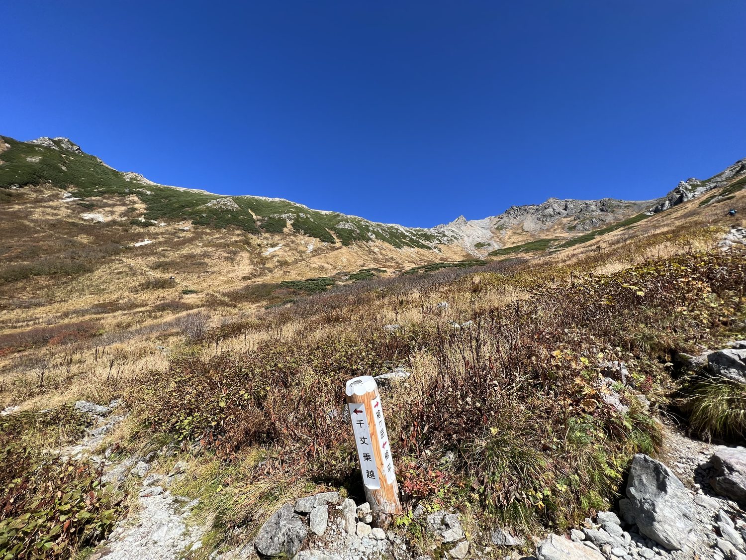 千丈沢の草紅葉 飛騨沢ルートの下山