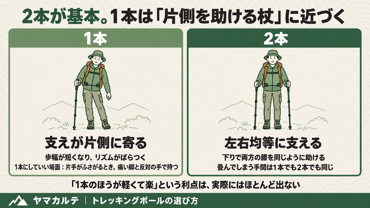 トレッキングポール1本と2本の違い 1本は支えが片側に寄り左右非対称 2本は左右均等に支え下りで両膝を助ける ヤマカルテ
