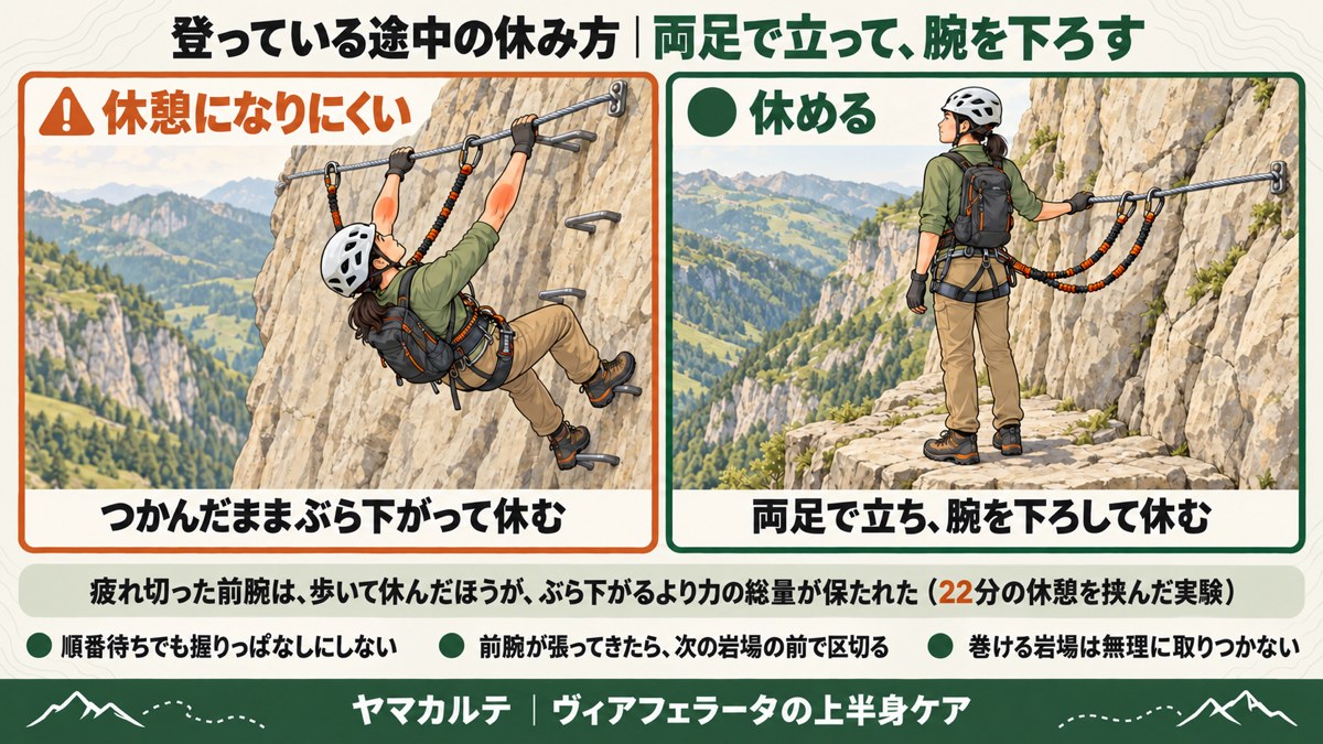 ヴィアフェラータの途中の休み方の図解 ワイヤーをつかんだままぶら下がって休むのは休憩になりにくい、平らな場所で両足で立ち腕を下ろして休む、22分の休憩を挟んだ実験で歩いて休んだほうが力の総量が保たれた ヤマカルテ