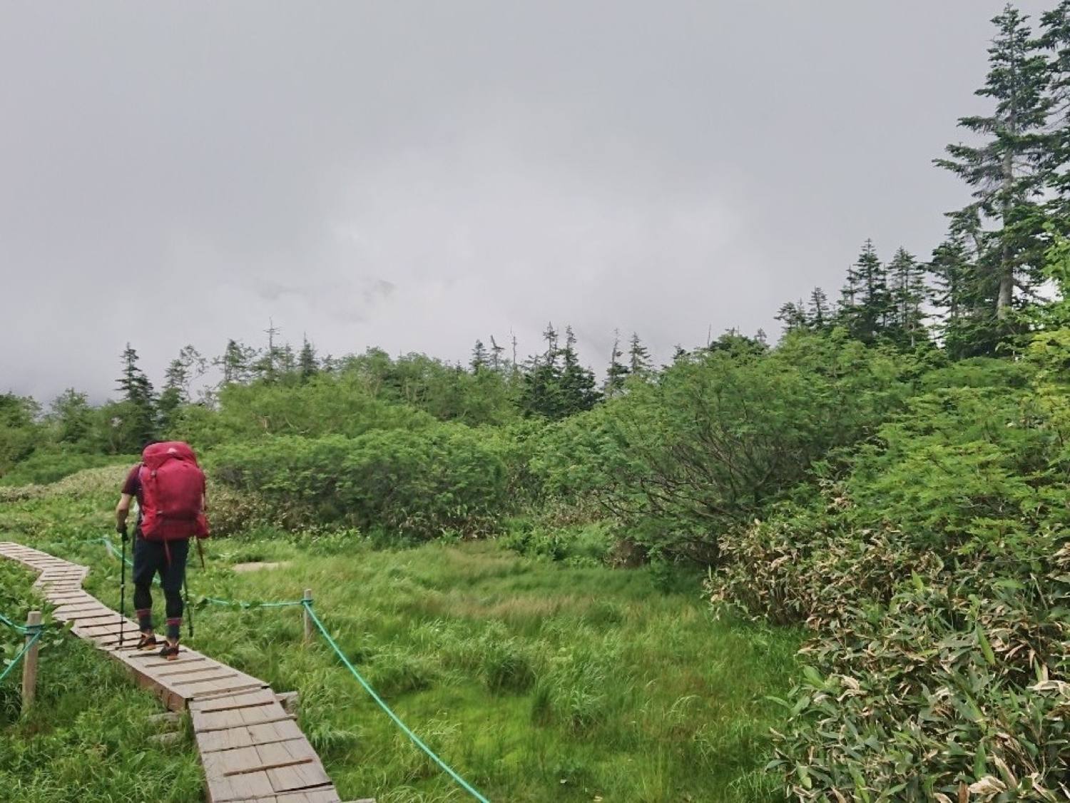 ガスが上がってきた鏡平の木道を歩く登山者 北アルプス小池新道