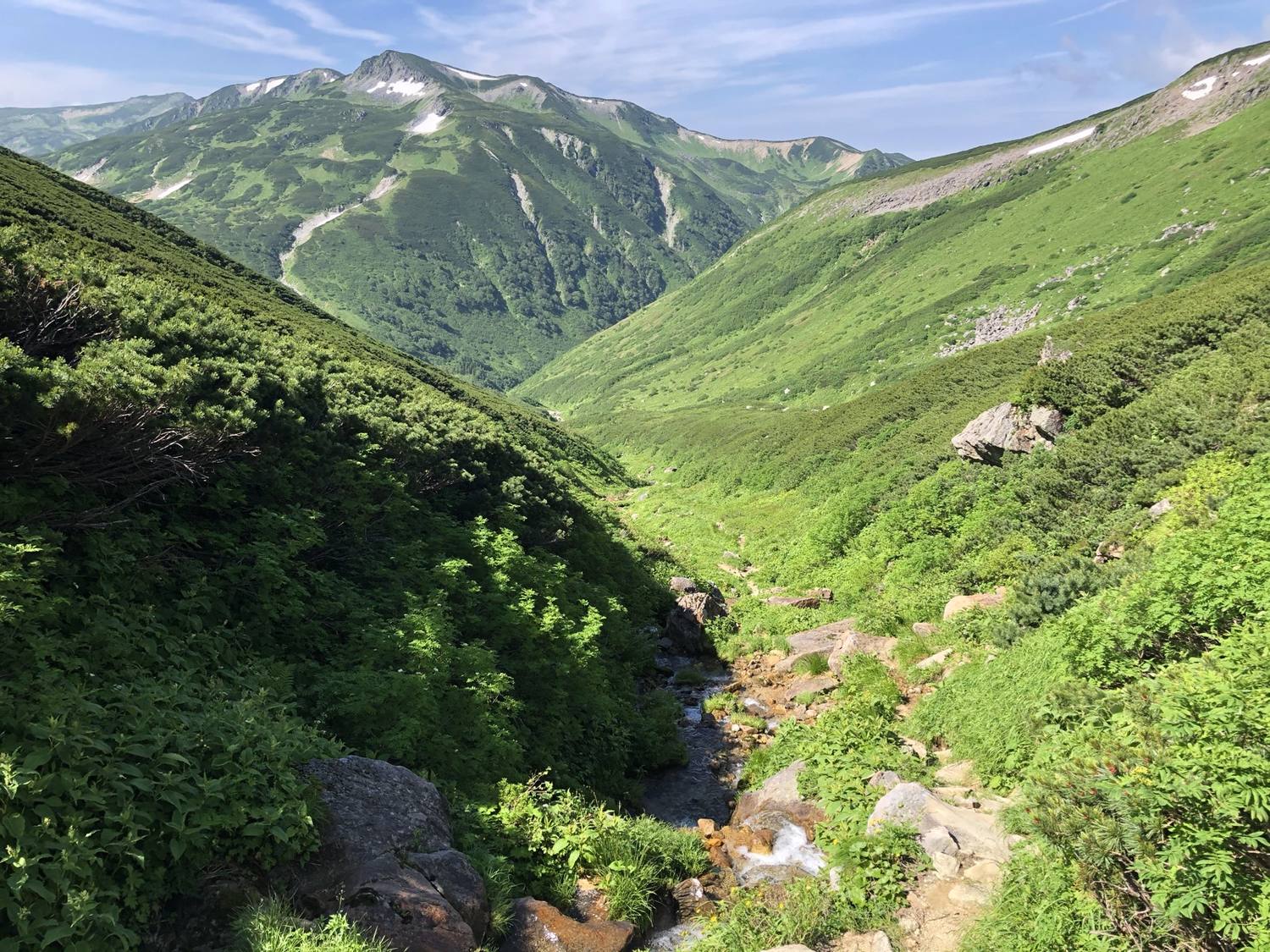 岩苔乗越から黒部川源流へ下る谷 北アルプス黒部源流域の登山道