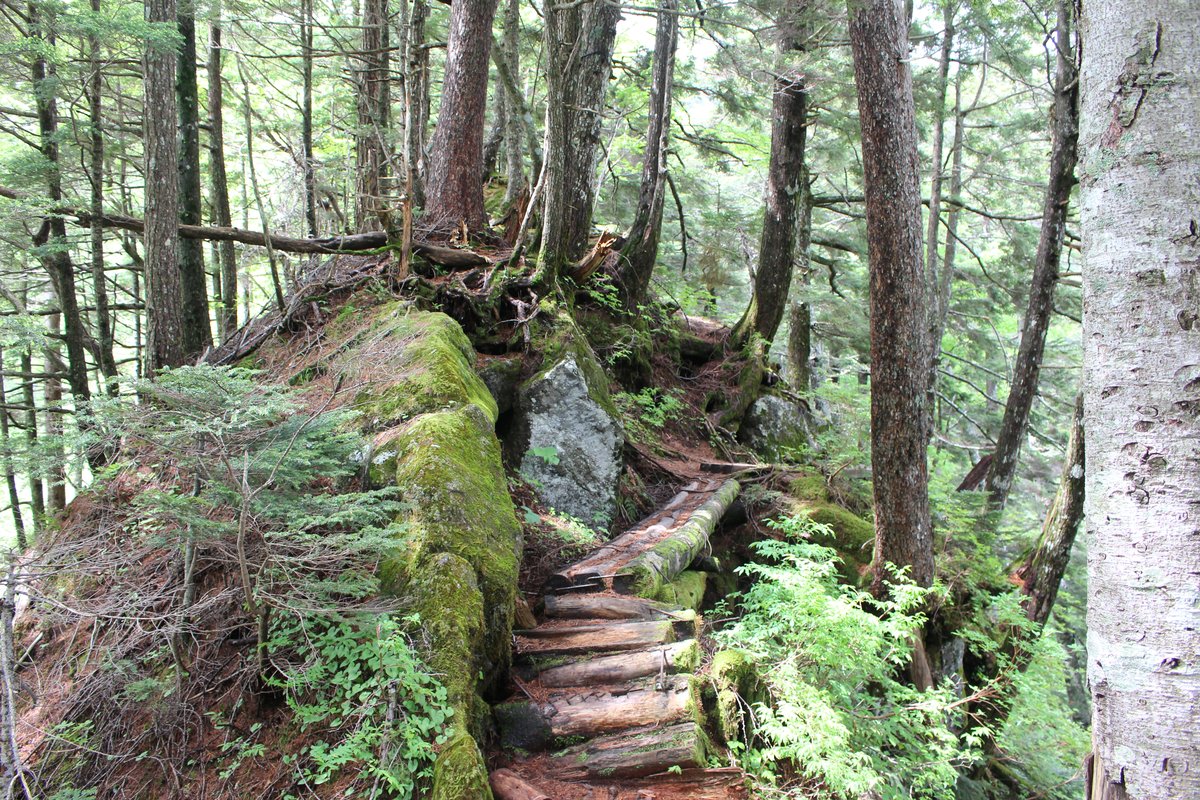西穂山荘から上高地へ続く整備された下りの登山道